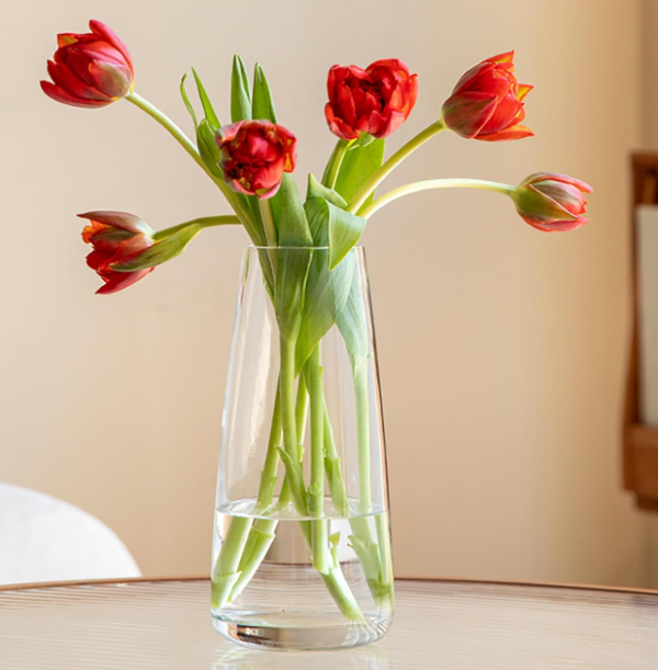 Clear Glass Vase – Modern Minimalist Home Decor