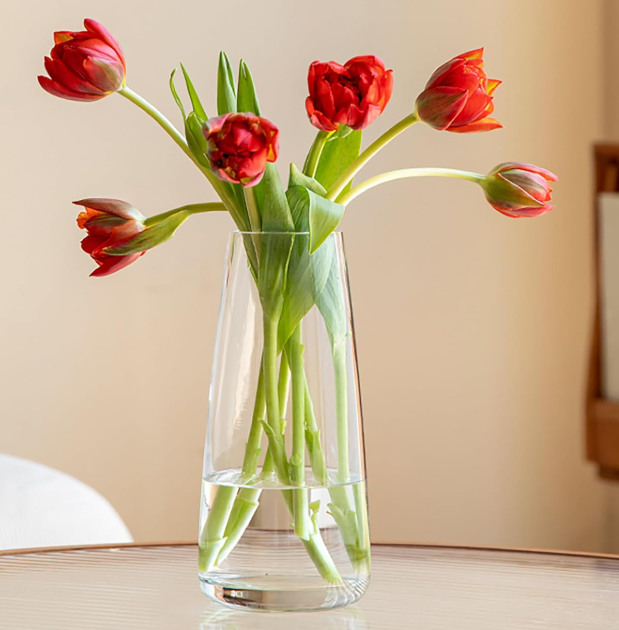 Clear Glass Vase – Modern Minimalist Home Decor